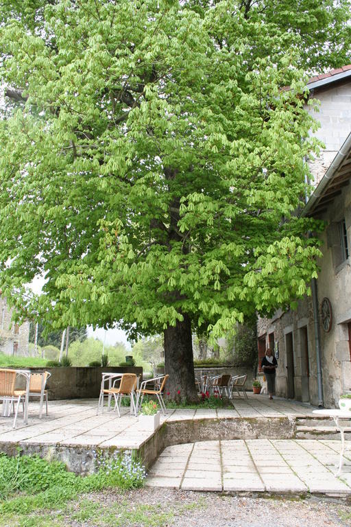 Auberge Du Precontent Arfeuilles Экстерьер фото